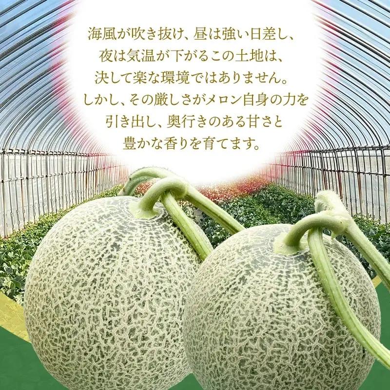 【令和8年産先行予約】　DearFarm砂丘からの贈物　＜珠玉アンデスメロン＞　約5kg（3～5玉）山形県鶴岡市　K-836　| メロン めろん アンデスメロン 5キロ 山形 鶴岡 庄内 庄内産 東北