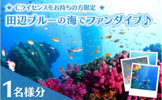 
                  【和歌山 田辺・ファンダイブ／2ボート】大阪から2時間で叶う！田辺ブルーの海♪　1名様 ★Cライセンスお持ちの方限定★ / ダイビング スキューバダイビング ファンダイビング マリンスポーツ 体験 旅行 観光 レジャー アウトドア サンゴ 熱帯魚 水中 癒し 【tds001-1-1】
                