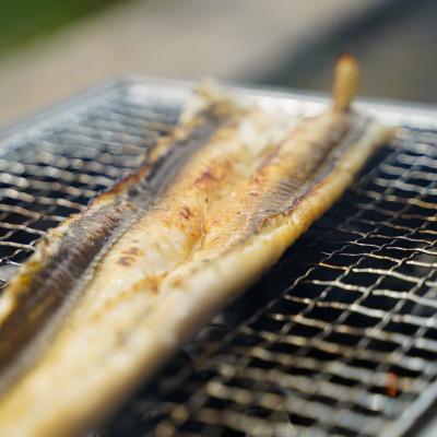 ふるさと納税 大田市 「天女の羽衣」超大ぶり !あなご一夜干し 1尾 250g前後　(A001) |  | 01