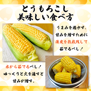 とうもろこし スイートコーン 5kg とうもろこし