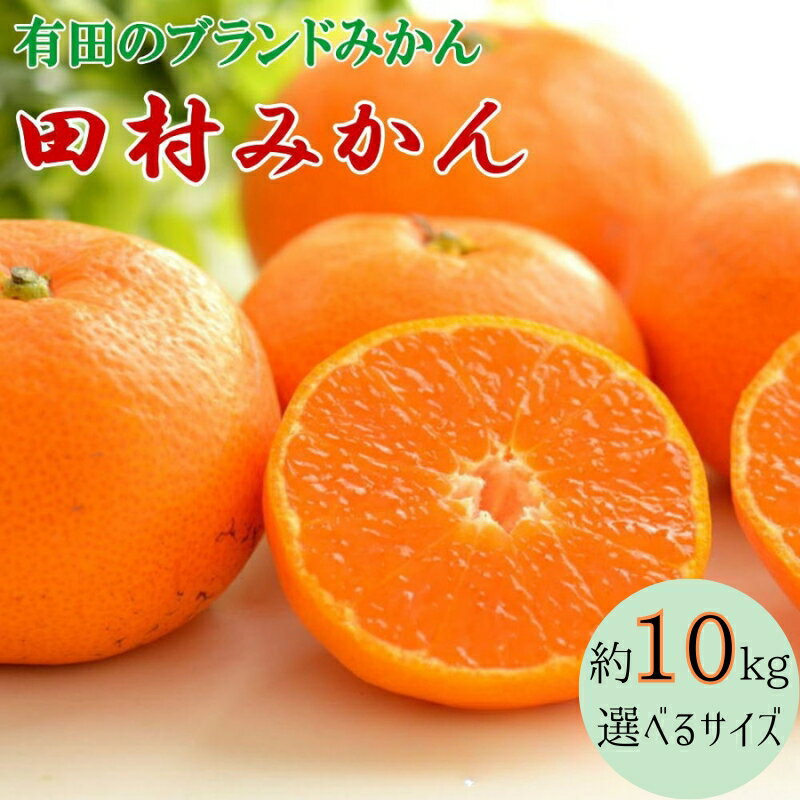 【ふるさと納税】【ブランドみかん】田村みかん 約10kg【選べるサイズ】 【2025年11月下旬～2025年12月下旬頃順次発送】（お届け日指定不可）/ みかん 柑橘 果実 和歌山 田村みかん ミカン 果物 フルーツ 和歌山 有田みかん 有田