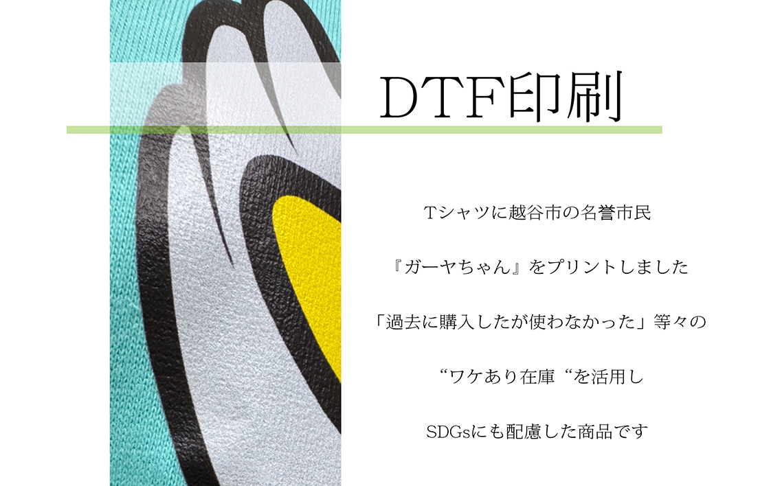 LLサイズ プリントTシャツ（越谷市ご当地キャラクター） ／ プリントTシャツ 綿Tシャツ キャラクターTシャツ ガーヤちゃん ご当地キャラ ワケあり 在庫活用 エコ商品 SDGs 配慮 カジュアル 
