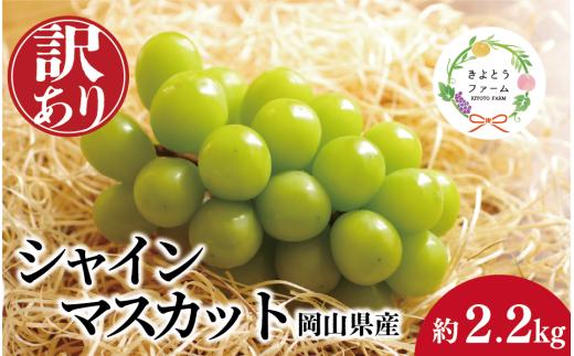 
                  【訳あり】シャインマスカット ご家庭用/約2.2kg (岡山県産)【KF-B015-04】
                