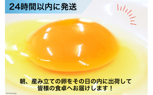 BI033 12回 定期便 雲仙たまごLサイズ 40個 (10個入り×4パック) (37個＋割れ補償3個入り) [ 卵 たまご 生卵 鶏卵 赤卵 玉子 新鮮 塚ちゃん雲仙たまご村 長崎県 島原市 ]