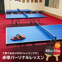 【ふるさと納税】卓球パーソナルレッスン 45分×11回 岐阜県 可児市 スポーツ レッスン 体験 回数券 パーソナル 初心者 室内 大人 子供 送料無料