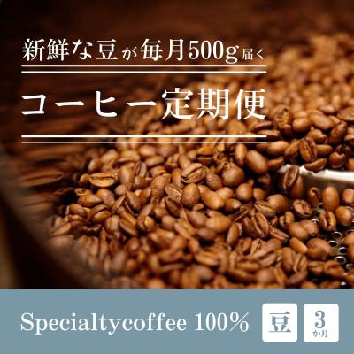 ふるさと納税 豊川市 【毎月定期便】毎月違うコーヒー豆をお届け スペシャルティコーヒー 豆 500g全3回