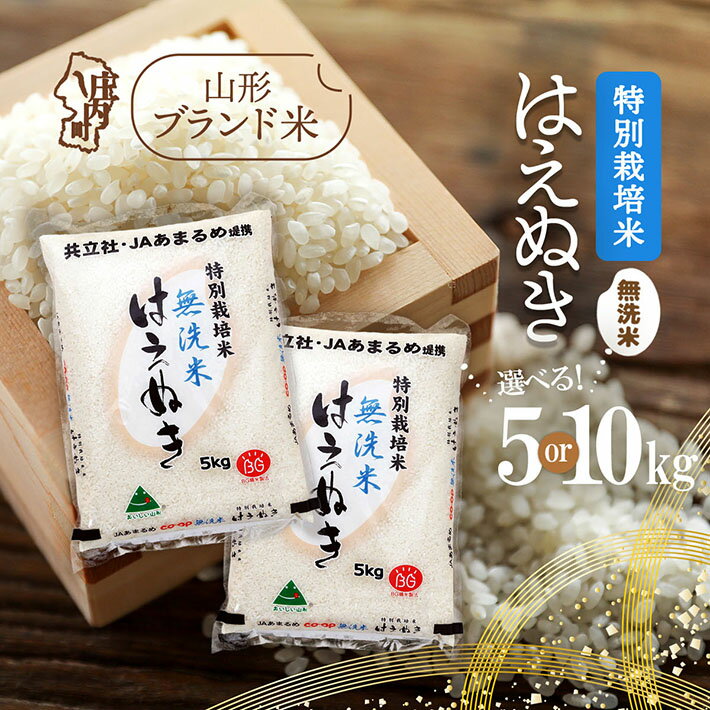 【ふるさと納税】庄内町産 特別栽培米 はえぬき無洗米 選べる内容量！ 5kg or 10kg 令和7年産 2025年産 ブランド米 コシヒカリの原点、亀の尾発祥の地 庄内 ふるさと納税 米 無洗米 山形県
