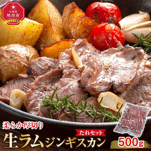 柔らか厚切り生ラムジンギスカン　500ｇ　たれセット | ジンギスカン _01185