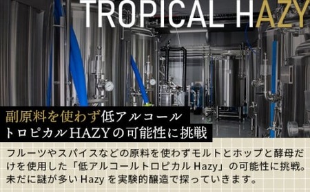 クラフトビール 6本 おまかせ 350ml HAZYLABO | 地ビール 