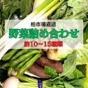 【ふるさと納税】おすすめ 柏市場直送 野菜 詰め合わせ セット おいしい 旬 季節 10から15種類