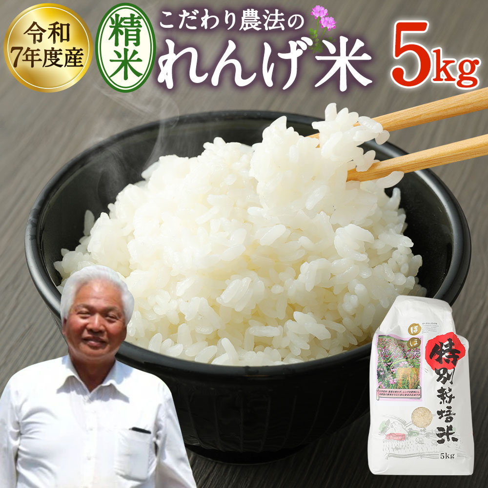 【ふるさと納税】【先行予約】化学合成農薬や化学肥料は栽培期間中不使用！ こだわり農法の「れんげ米」 5kg 1袋 精米 お米 れんげ米 れんげ農法 ほんまもん農産物 お取り寄せ 大分県 臼杵市産 国産 送料無料
