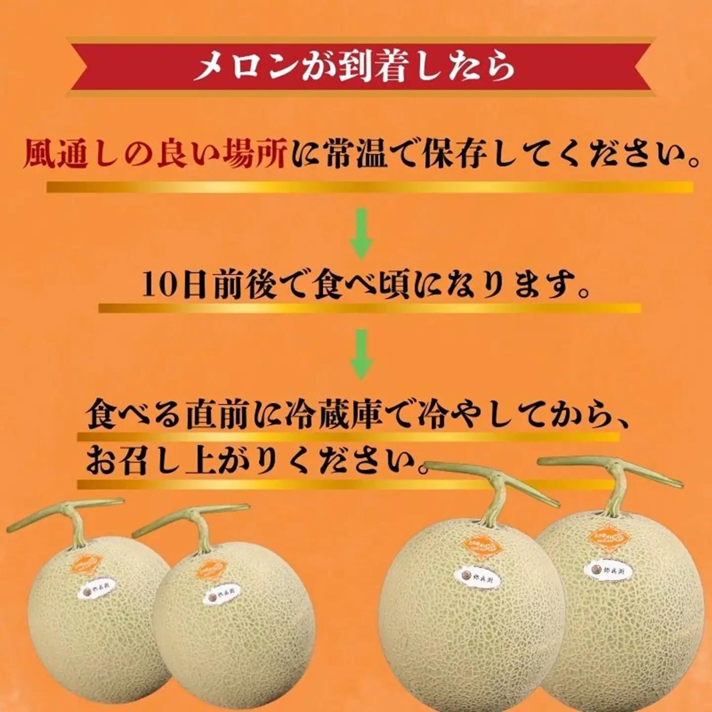 【先行予約】赤肉とろ甘メロン 2玉 メロン レノンスタ―