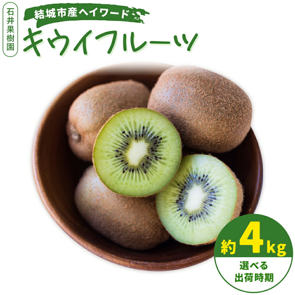 【ふるさと納税】選べる配送時期＞＞石井果樹園のキウイフルーツ 結城市産 ヘイワード 約4kg 選べる 出荷時期《出荷時期をお選びください》茨城県 結城市 キウイ きうい 果物 フルーツ 新鮮 国産 ギフト 送料無料