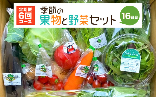 【定期便6回】 季節の果物と野菜セット 16品目_イメージ1