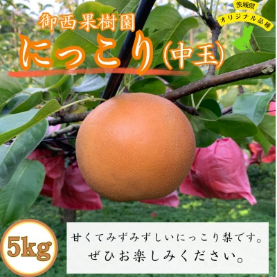 
＜農家直送＞梨 にっこり 中玉サイズ9～12個(約5kg)【1418433】
