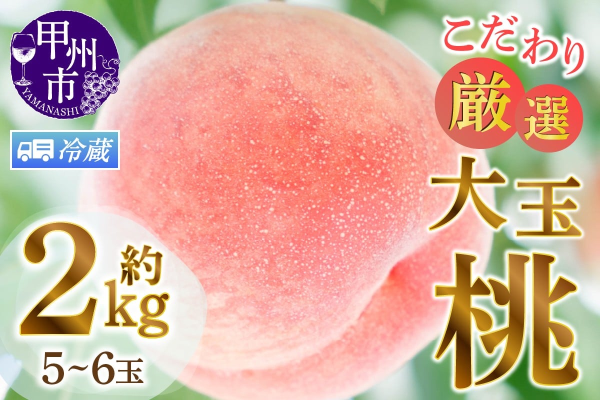 
                  【クール便発送】甲州市産厳選旬の桃大玉 約2kg 5～6玉入り【2026年発送】（MG）B-481CO 【桃 もも モモ 令和8年発送 期間限定 大玉 山梨県産 甲州市 フルーツ 果物】
                