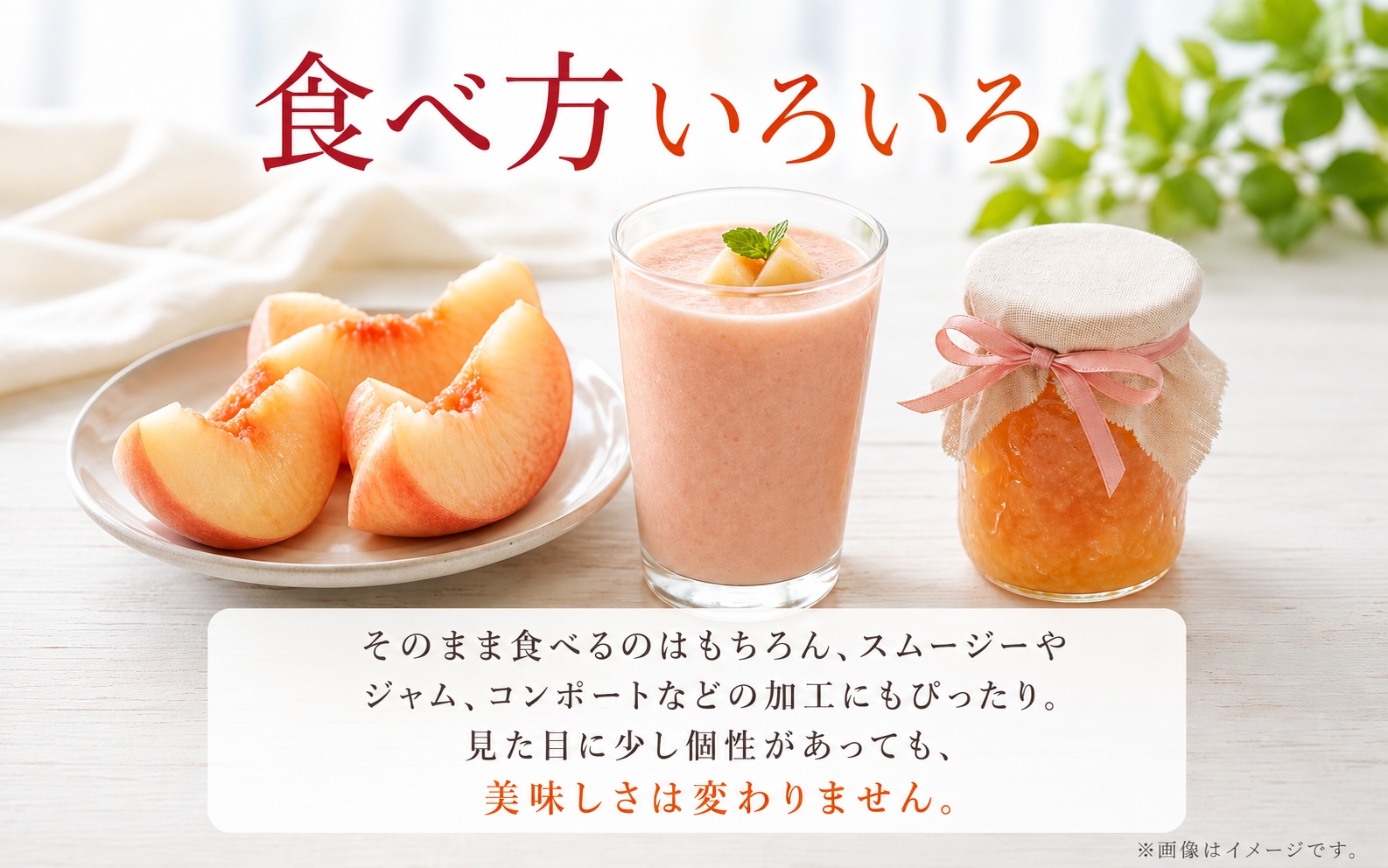 【ご家庭用訳あり】紀州和歌山産の桃　約1.8kg【2027年7月中旬頃～8月中旬頃順次発送予定】/ もも くだもの フルーツ 【uot873】