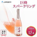 【ふるさと納税】巨峰スパークリング 720ml×12本 ふるさと納税ワイン 巨峰ワイン スパークリングワイン ブドウ 葡萄 酒 お酒 果実酒 贈答 ギフト プレゼント 晩酌 宅飲み 家飲み キャンプ BBQ バーベキュー パーティー 熨斗 のし 送料無料 山梨県 笛吹市 177-4-073