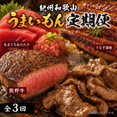 ふるさと納税 由良町 【毎月定期便】紀州和歌山うまいもんセットC(生まぐろ・うなぎ蒲焼・熊野牛)全3回