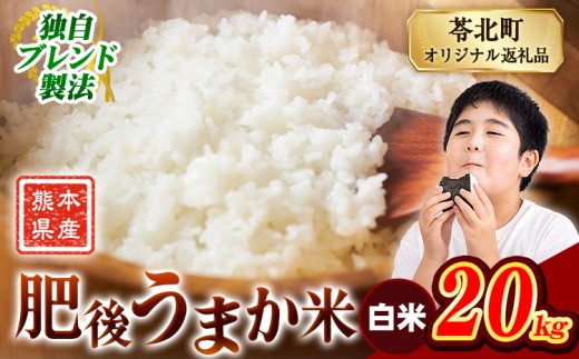 米  熊本県産 肥後うまか米 20kg 白米 精米 こめ  コメ お米 おこめ ブレンド米《7-14日以内に出荷予定(土日祝除く)》熊本県産  コメ お米 おこめ