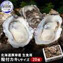 【ふるさと納税】厚岸産　殻付カキLサイズ20個（生食用）　【魚貝類 生牡蠣 かき 殻付カキ 牡蠣 カキ メルマガ掲載商品2】