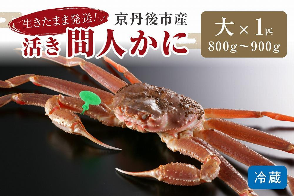 
                  かに卸し問屋がお届け・浜競り厳選！幻の活間人ガニ 800ｇ～900ｇ 大サイズ/北畿水産　HK00300・HK00304
                