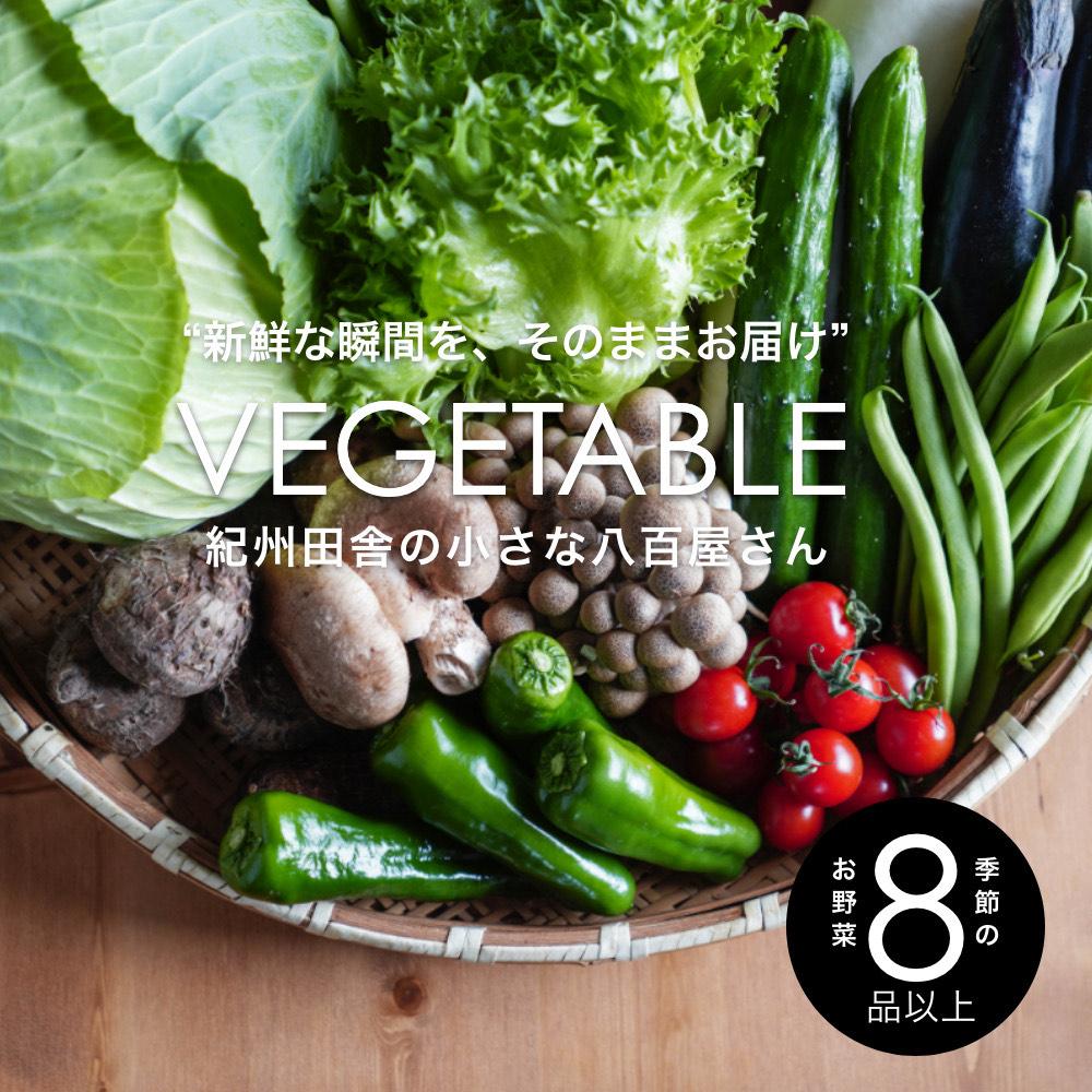 【ふるさと納税】旬の新鮮野菜詰め合わせ 8種以上【野菜セット】 | 和歌山県 印南町 和歌山 野菜 季節の野菜 季節の果物 セット 産地直送 新鮮 野菜農家 季節 サラダ やさい 送料無料 詰め合わせ おまかせ 返礼品 支援 楽天ふるさと 納税 産直 国産 お楽しみ おまかせセット
