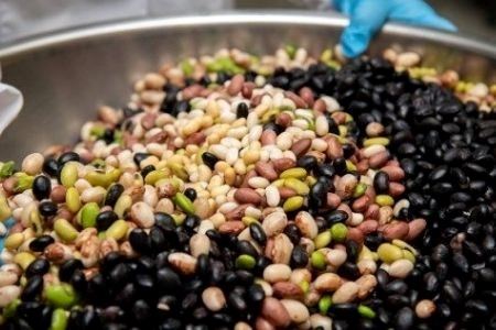 丘の恵みびえい　豆ごころ3パック | 大豆 北海道 大豆  [008-23]