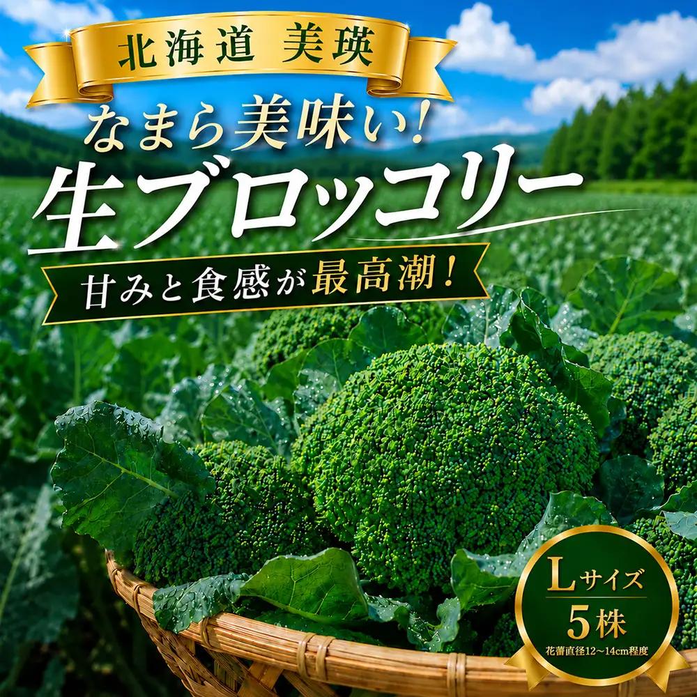 【令和8年産】ブロッコリー 5株 Lサイズ 北海道 ブロッコリー