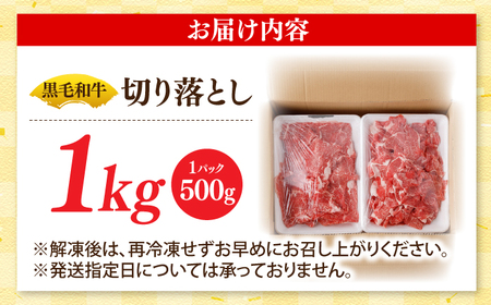 国産 黒毛和牛 熟成肉 切り落とし計1㎏（500g×2パック）/ 小分け 国産牛 お肉 牛肉 切落し 冷凍 焼肉 すき焼き / 南島原市 / ふるさと企画[SBA093]