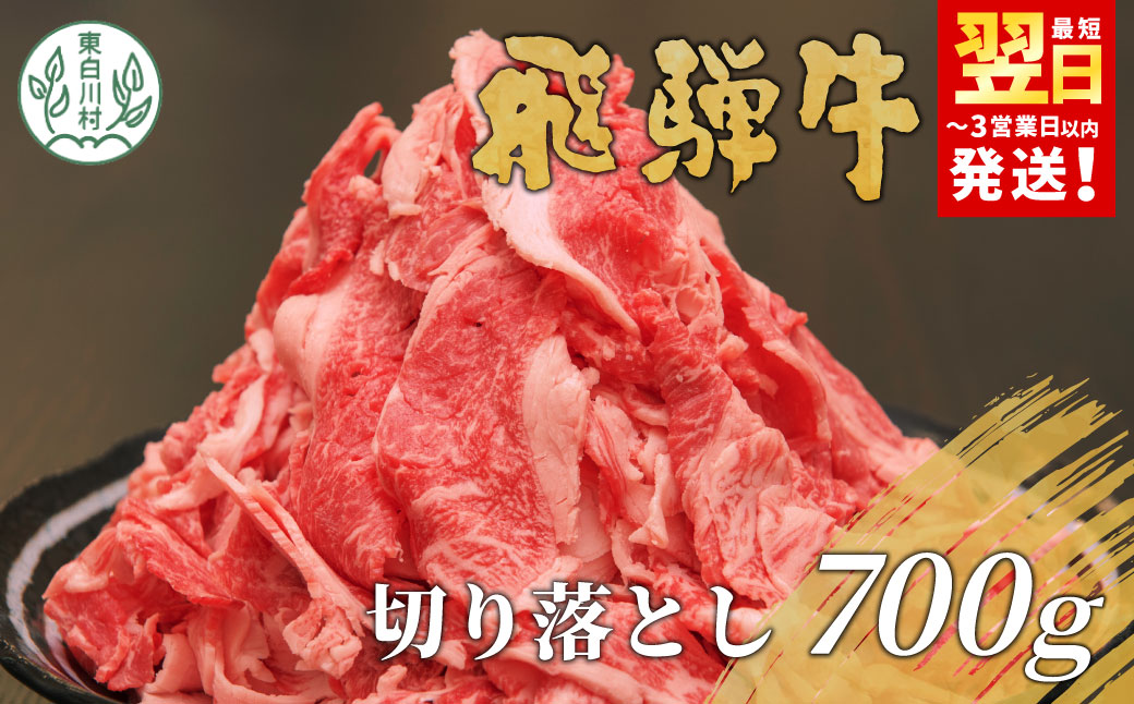 飛騨牛 切り落とし 700g 訳あり 訳有 牛肉 和牛 肉 切り落し 切落し こま切れ 肉じゃが すき焼き しゃぶしゃぶ 贅沢 霜降り 鍋