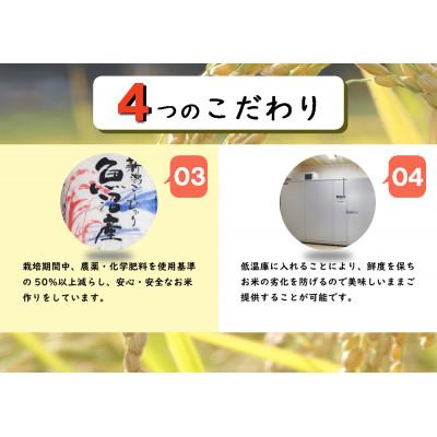 ふるさと納税 十日町市 【毎月定期便】新潟県魚沼産コシヒカリ 厳選 低温管理 自社精米 5kg全3回 |  | 02