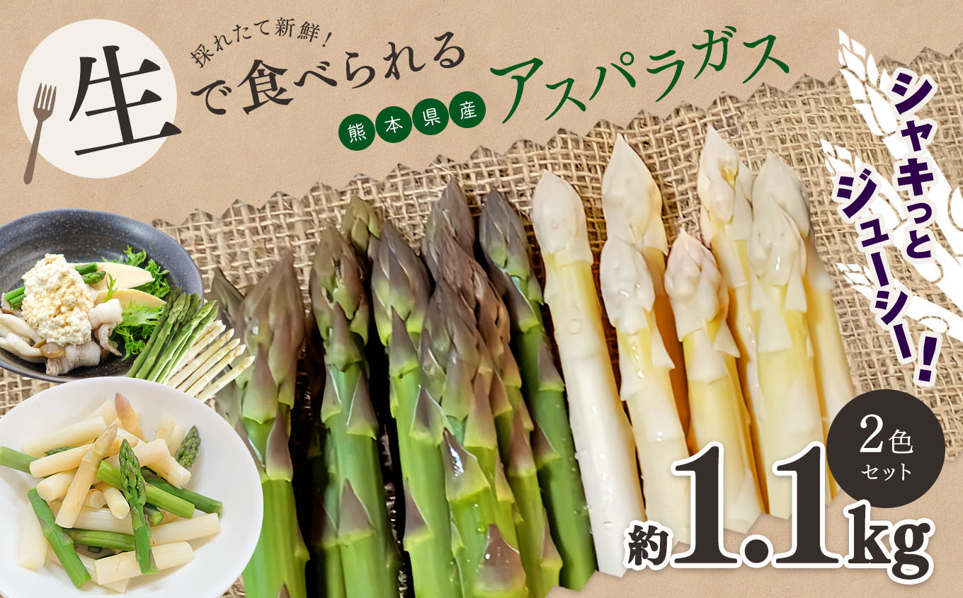 
                  生で食べれる ‼ アスパラガス 2色 セット（ グリーン ・ ホワイト  ）約 1.1kg ｜ 野菜 アスパラ ソムリエ 新鮮 健康 熊本県産 熊本 玉名 くまもと たまな
                
