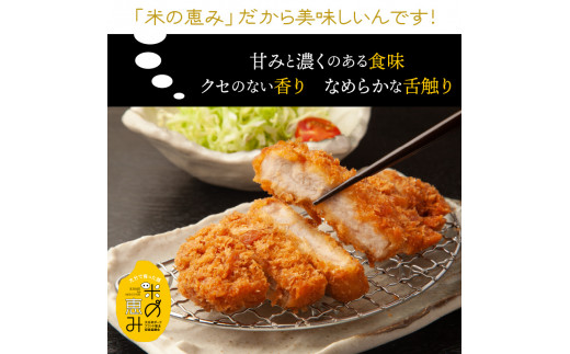 米の恵み豚/ロース,ヒレ贅沢とんかつ食べ尽し1.2kg（1177R）_イメージ3