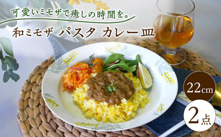 【波佐見焼】和ミモザ 22cm パスタ・カレー皿 2枚セット【和山】[WB152]