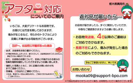 朝採れ鮮度抜群！甘く熟した完熟いちご！とちあいか 特大 1kg(255gｘ4パック) 真岡市 栃木県 送料無料