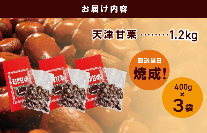 当店自慢の天津甘栗 1.2kg【小分け 400g×3P お菓子 おつまみ 人気 甘味料不使用】 099H2329_イメージ3