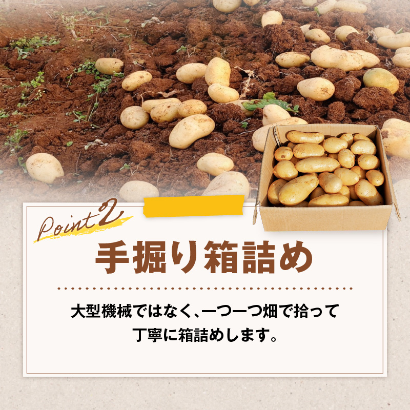 【2026年先行予約】前原さんの特選じゃがいも ゴールド8kg　C062-001