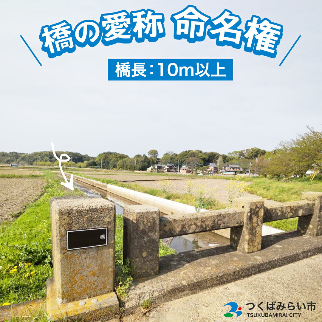 【ふるさと納税】つくばみらい市 橋の愛称 命名権 （橋長10m以上）命名権 命名 橋 名づけ 権利 広告 ネーミングライツ