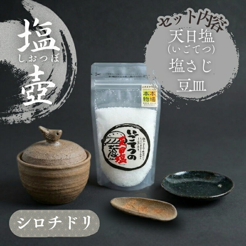 【ふるさと納税】 シオチドリ の 塩壷 塩さじ 豆皿 天日塩 1袋 付き 日常屋 食器 皿 さら さじ 調味料入れ ツボ つぼ 壷 塩 調味料 保存容器 陶器 高知県 高知県 黒潮町