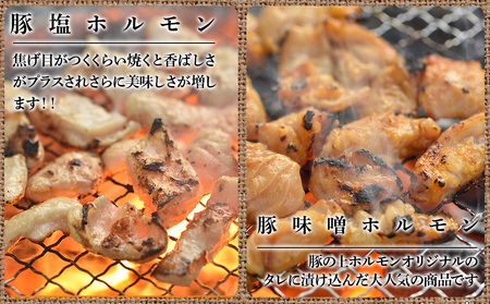 バラエティーギフトセット 食べ比べ ホルモン ジンギスカン 羊肉 焼肉 お肉 味付き BBQ キャンプ ＜肉の山本＞