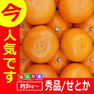 ＜果汁たっぷりコクのある甘みが自慢＞せとか3kg詰め合わせ