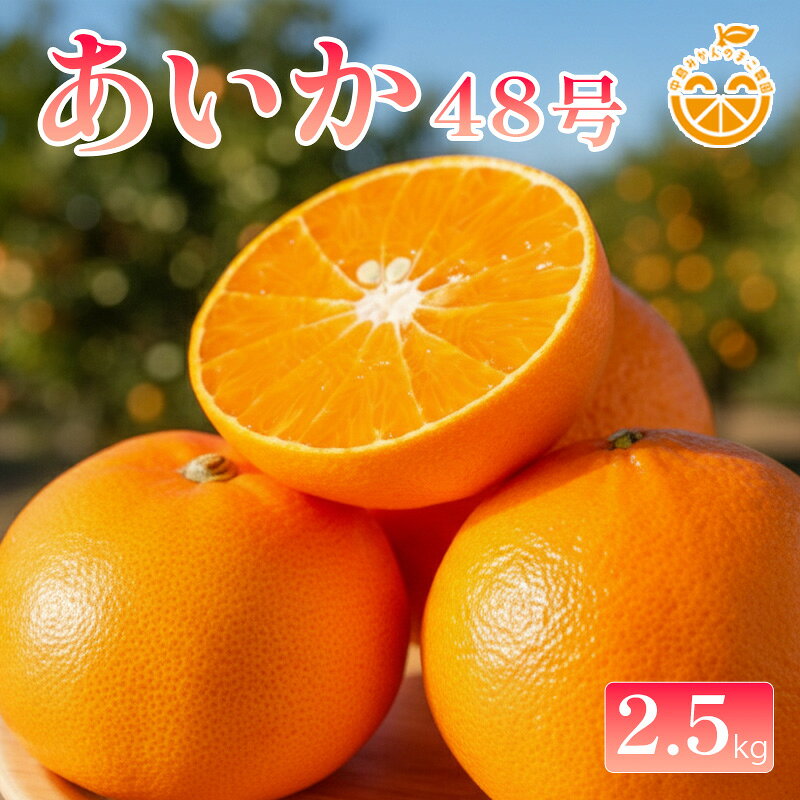 【ふるさと納税】 中島産 あいか48号 ( 紅プリンセス と同品種 ) 2.5kg 【2027年2月中旬頃から順次発送】中島みかんのまこ農園 | みかん ミカン オレンジ おれんじ あいか48号 フルーツ 果物 くだもの 高級柑橘 愛媛県松山市 中島産 柑橘王様
