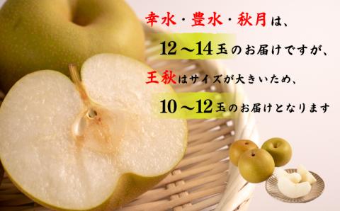 【 数量限定 】 旬の梨 5kg 10～12 玉 【12月より発送】