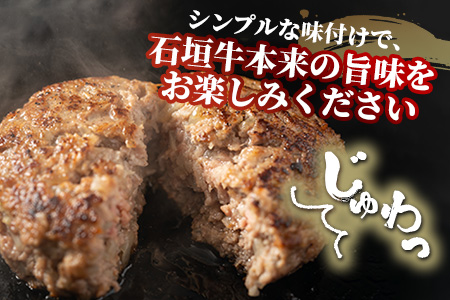 A-6-1 石垣牛ハンバーグセット100g×10個