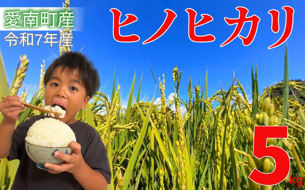 
                  米 白米 ヒノヒカリ 【令和7年産】＜産地直送＞5kg お米 精米 コシヒカリ と 黄金晴 の交配種 愛媛 愛南町 愛なんよ
                