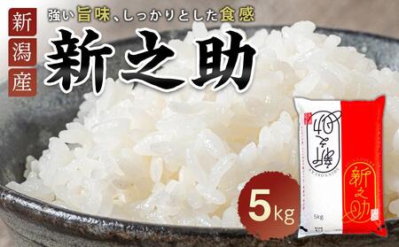 新之助 5kg