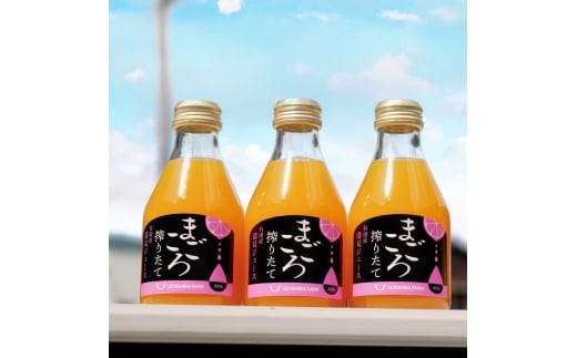 M081　まごころ搾りたて有田産清見ジュース１８０ｍｌ　１２本入