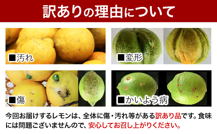 f生産者応援企画!訳あり 国産レモン 約4kg 《10月上旬-1月下旬頃出荷》産地直送 レモン 檸檬 グリーンレモン イエローレモン 防腐剤不使用 果物 フルーツ(f-1)