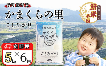 【先行予約】 【定期便】 [ 令和７年産 新米 ] 特別栽培米 「かまくらの里コシヒカリ」 精米 5kg×6回 (7-4A) 長野県 飯山市 おすすめ ランキング おいしい 高評価 大人気 こしひかり こしひかり こしひかり こしひかり こしひかり こしひかり